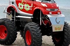 elektroauto-smart_for_fun